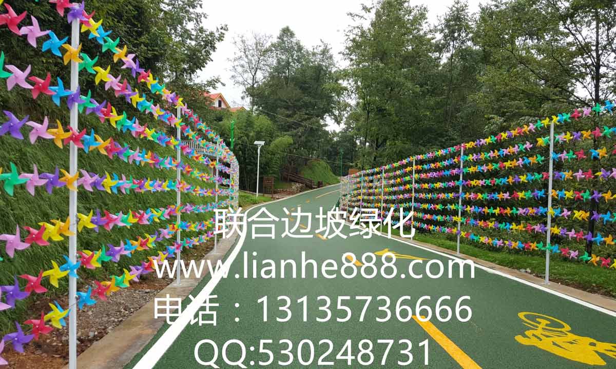 貴州六盤水大河堡國學(xué)館風景旅游區(qū)邊坡復(fù)綠