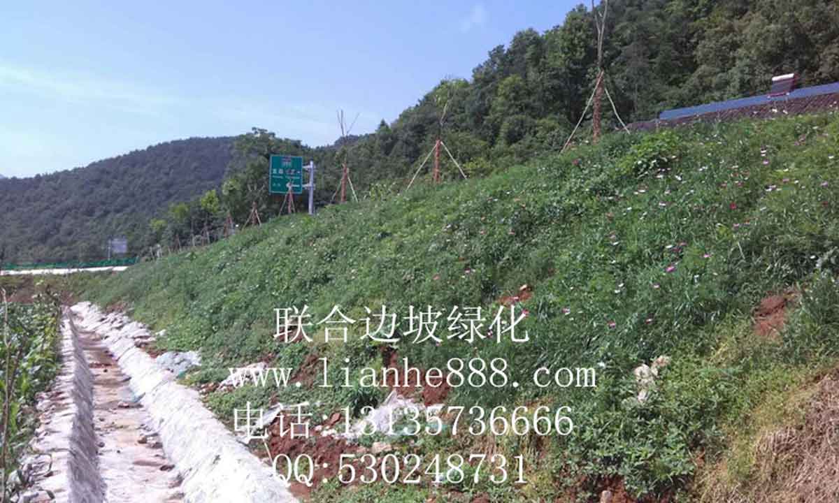 貴州、安順滬昆高鐵項目